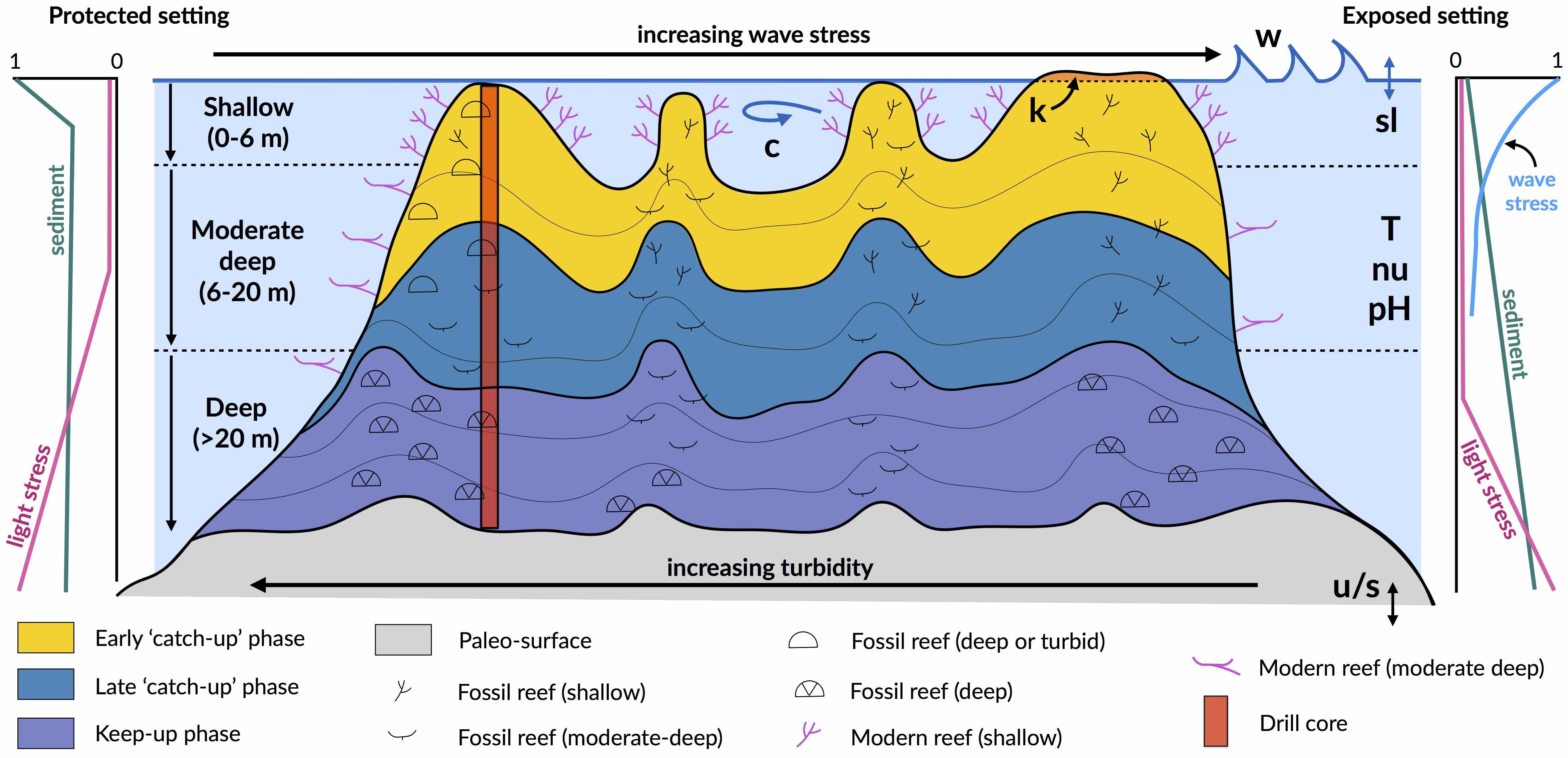 Coral Reef Diagram