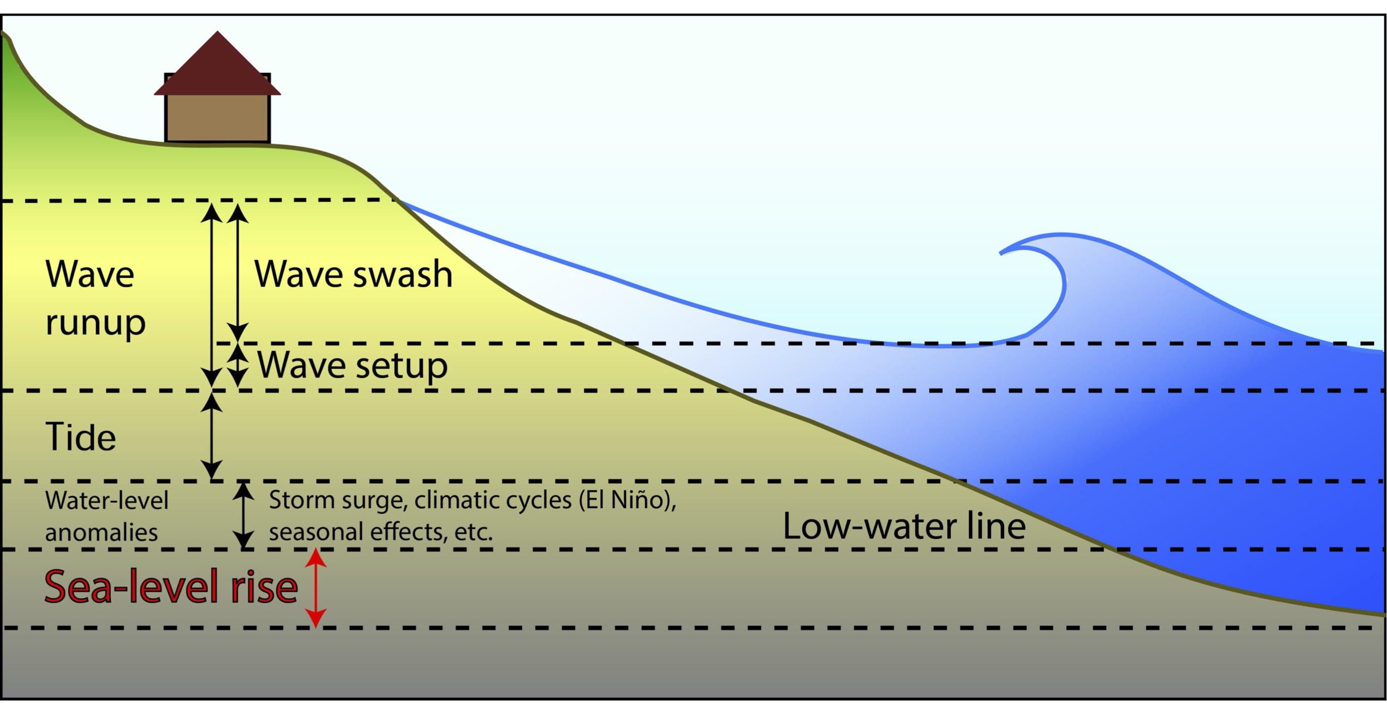 The water-level components that contribute to coastal flooding.
